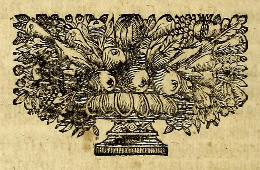 An illustration from Histoire generale des Antilles habitées par les François. : Divisée en deux tomes, et enrichie de cartes & de figures. Tome I [-IV]. ..., 1667, leaf 224