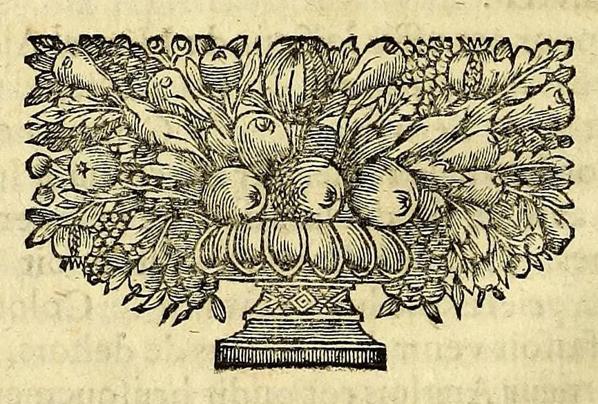 An illustration from Histoire generale des Antilles habitées par les François. : Divisée en deux tomes, et enrichie de cartes & de figures. Tome I [-IV]. ..., 1667, leaf 26