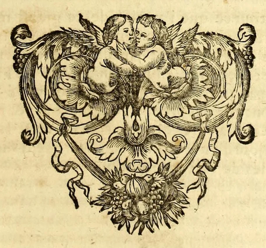 An illustration from Histoire generale des Antilles habitées par les François. : Divisée en deux tomes, et enrichie de cartes & de figures. Tome I [-IV]. ..., 1667, leaf 373