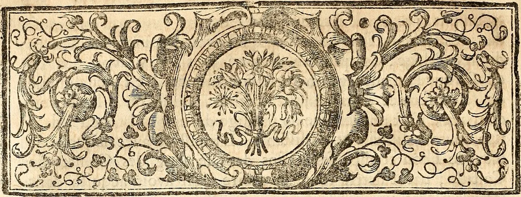 An illustration from Histoire generale d'Espagne, du P. Jean de Mariana de la Compagnie de Jesus., 1725, leaf 135