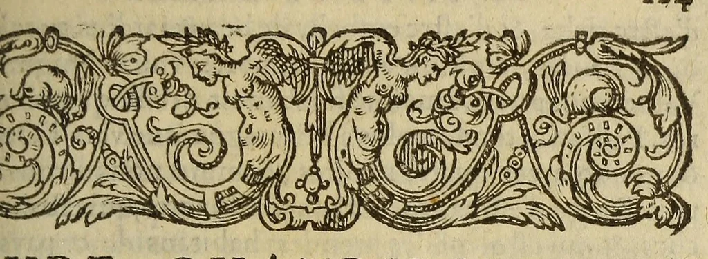 An illustration from Histoire generalle des Indes Occidentales & terres neuues, qui iusques à present ont esté descouuertes,, 1569, leaf 265