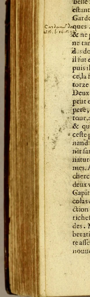 An illustration from Histoire generalle des Indes Occidentales, et terres neuues, qui iusques à present ont esté descouuertes, : augmentee en ceste cinquiesme edition de la description de la Nouuelle Espagne, & de la grande ville de Mexicque, autrement nommee, Tenuctilan:, 1587, leaf 402