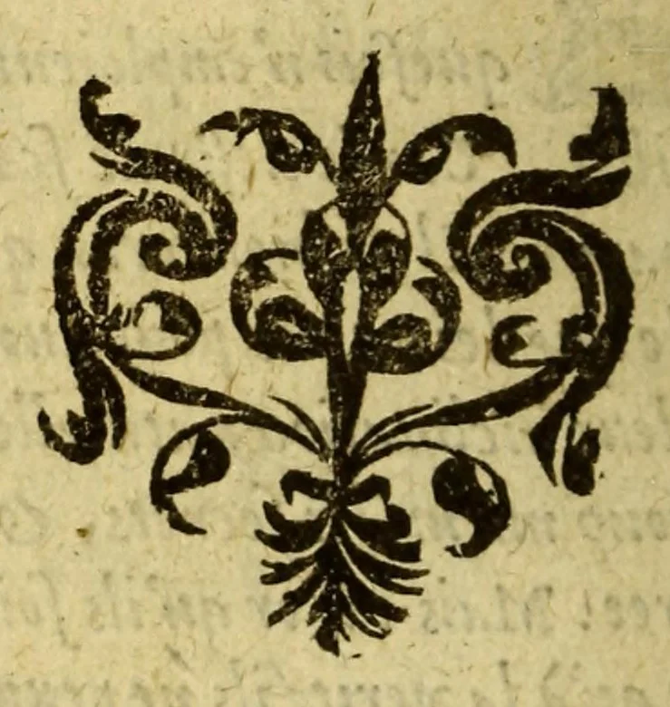 An illustration from Histoire generalle des Indes Occidentales, et terres neuues, qui iusques à present ont esté descouuertes, : augmentee en ceste cinquiesme edition de la description de la nouuelle Espagne, & de la grande ville de Mexicque, autrement nommee Tenuctilan,, 1584, leaf 14