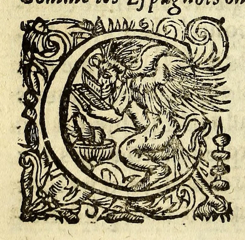 An illustration from Histoire generalle des Indes Occidentales et terres neuues, qui iusques à present ont esté descouuertes., 1577, leaf 112