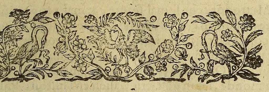 An illustration from Histoire generalle des Indes Occidentales, et terres neuues, qui iusques à present ont esté descouuertes. : augmentee en ceste cinquiesme edition de la description de la Nouuelle Espagne, & de la grande ville de Mexicque, autrement nommee, Tenuctilan., 1605, leaf 17