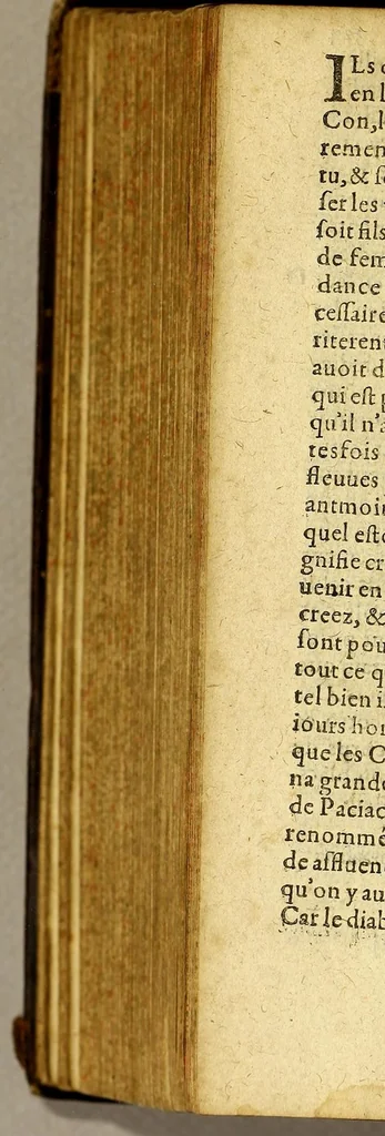 An illustration from Histoire generalle des Indes Occidentales, et terres neuues, qui iusques à present ont esté descouuertes. : augmentee en ceste cinquiesme edition de la description de la Nouuelle Espagne, & de la grande ville de Mexicque, autrement nommee, Tenuctilan., 1606, leaf 656