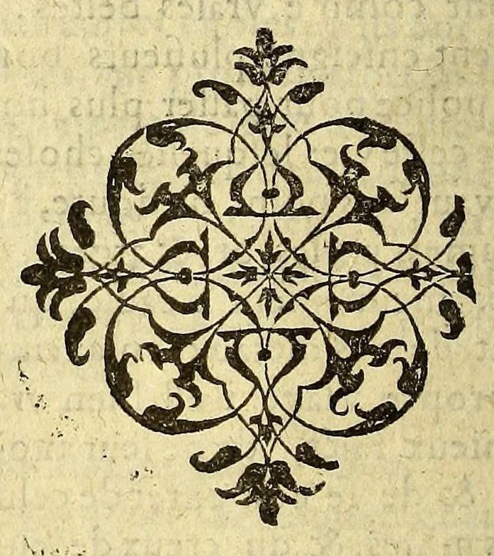 An illustration from Histoire generalle des Indes Occidentales, et terres neuues, qui iusques à present ont esté descouuertes. : augmentee en ceste cinquiesme edition de la description de la Nouuelle Espagne, & de la grande ville de Mexicque, autrement nommee, Tenuctilan., 1606, leaf 976