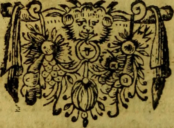An illustration from Histoire généalogique de la maison de La Trémoille, 1668, leaf 91