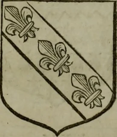 An illustration from Histoire généalogique et chronologique de la maison royale de France, des pairs, grands officiers de la couronne & de la maison du roy & des anciens barons du royaume : avec les qualitez, l'origine, le progrés & les armes de leurs familles; ensemble les statuts & le catalogue des chevaliers, commandeurs, & officiers de l'ordre du S. Esprit : le tovt dressé svr titres originaux, svr les registres des chartes du roy, du parlement, de la chambre des comptes, & du châtelet de Paris, cartulaires, manuscrits de la bibliotheque du roy, & d'autres cabinets curieux, 1726, leaf 107