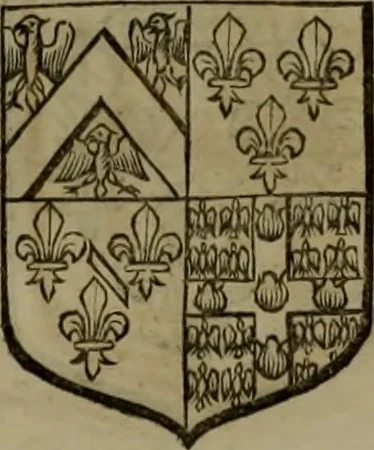 An illustration from Histoire généalogique et chronologique de la maison royale de France, des pairs, grands officiers de la couronne & de la maison du roy & des anciens barons du royaume : avec les qualitez, l'origine, le progrés & les armes de leurs familles; ensemble les statuts & le catalogue des chevaliers, commandeurs, & officiers de l'ordre du S. Esprit : le tovt dressé svr titres originaux, svr les registres des chartes du roy, du parlement, de la chambre des comptes, & du châtelet de Paris, cartulaires, manuscrits de la bibliotheque du roy, & d'autres cabinets curieux, 1726, leaf 169