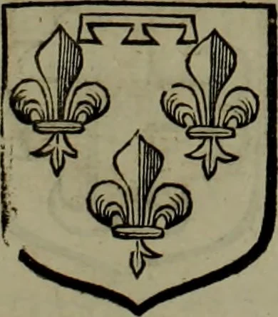 An illustration from Histoire généalogique et chronologique de la maison royale de France, des pairs, grands officiers de la couronne & de la maison du roy & des anciens barons du royaume : avec les qualitez, l'origine, le progrés & les armes de leurs familles; ensemble les statuts & le catalogue des chevaliers, commandeurs, & officiers de l'ordre du S. Esprit : le tovt dressé svr titres originaux, svr les registres des chartes du roy, du parlement, de la chambre des comptes, & du châtelet de Paris, cartulaires, manuscrits de la bibliotheque du roy, & d'autres cabinets curieux, 1726, leaf 190