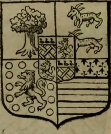 An illustration from Histoire généalogique et chronologique de la maison royale de France, des pairs, grands officiers de la couronne & de la maison du roy & des anciens barons du royaume : avec les qualitez, l'origine, le progrés & les armes de leurs familles; ensemble les statuts & le catalogue des chevaliers, commandeurs, & officiers de l'ordre du S. Esprit : le tovt dressé svr titres originaux, svr les registres des chartes du roy, du parlement, de la chambre des comptes, & du châtelet de Paris, cartulaires, manuscrits de la bibliotheque du roy, & d'autres cabinets curieux, 1726, leaf 229