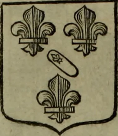 An illustration from Histoire généalogique et chronologique de la maison royale de France, des pairs, grands officiers de la couronne & de la maison du roy & des anciens barons du royaume : avec les qualitez, l'origine, le progrés & les armes de leurs familles; ensemble les statuts & le catalogue des chevaliers, commandeurs, & officiers de l'ordre du S. Esprit : le tovt dressé svr titres originaux, svr les registres des chartes du roy, du parlement, de la chambre des comptes, & du châtelet de Paris, cartulaires, manuscrits de la bibliotheque du roy, & d'autres cabinets curieux, 1726, leaf 271