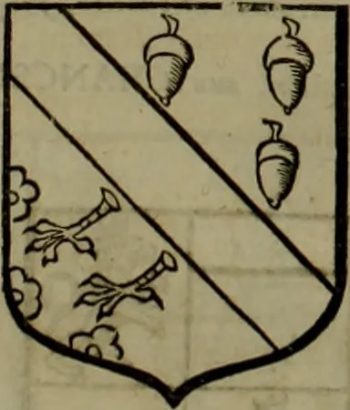 An illustration from Histoire généalogique et chronologique de la maison royale de France, des pairs, grands officiers de la couronne & de la maison du roy & des anciens barons du royaume : avec les qualitez, l'origine, le progrés & les armes de leurs familles; ensemble les statuts & le catalogue des chevaliers, commandeurs, & officiers de l'ordre du S. Esprit : le tovt dressé svr titres originaux, svr les registres des chartes du roy, du parlement, de la chambre des comptes, & du châtelet de Paris, cartulaires, manuscrits de la bibliotheque du roy, & d'autres cabinets curieux, 1726, leaf 280