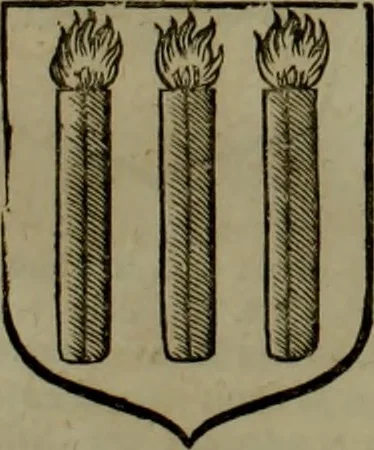 An illustration from Histoire généalogique et chronologique de la maison royale de France, des pairs, grands officiers de la couronne & de la maison du roy & des anciens barons du royaume : avec les qualitez, l'origine, le progrés & les armes de leurs familles; ensemble les statuts & le catalogue des chevaliers, commandeurs, & officiers de l'ordre du S. Esprit : le tovt dressé svr titres originaux, svr les registres des chartes du roy, du parlement, de la chambre des comptes, & du châtelet de Paris, cartulaires, manuscrits de la bibliotheque du roy, & d'autres cabinets curieux, 1726, leaf 302