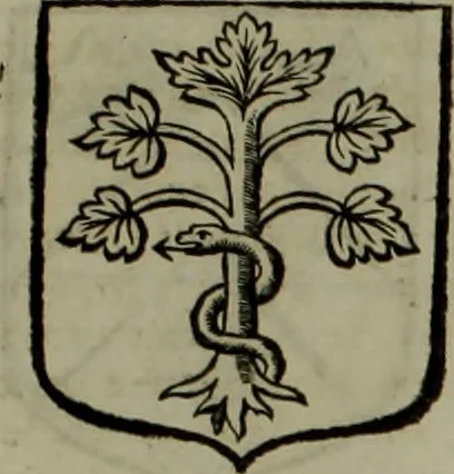 An illustration from Histoire généalogique et chronologique de la maison royale de France, des pairs, grands officiers de la couronne & de la maison du roy & des anciens barons du royaume : avec les qualitez, l'origine, le progrés & les armes de leurs familles; ensemble les statuts & le catalogue des chevaliers, commandeurs, & officiers de l'ordre du S. Esprit : le tovt dressé svr titres originaux, svr les registres des chartes du roy, du parlement, de la chambre des comptes, & du châtelet de Paris, cartulaires, manuscrits de la bibliotheque du roy, & d'autres cabinets curieux, 1726, leaf 338