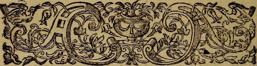 An illustration from Histoire metallique de la republique de Hollande., 1688, leaf 107