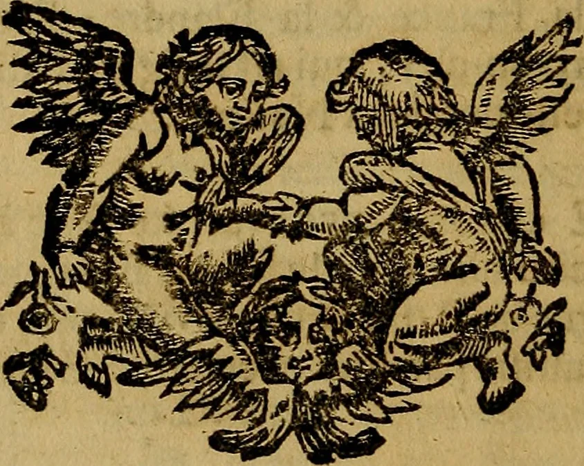 An illustration from Histoire metallique de la republique de Hollande., 1688, leaf 115