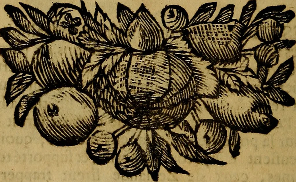 An illustration from Histoire metallique de la republique de Hollande., 1688, leaf 117