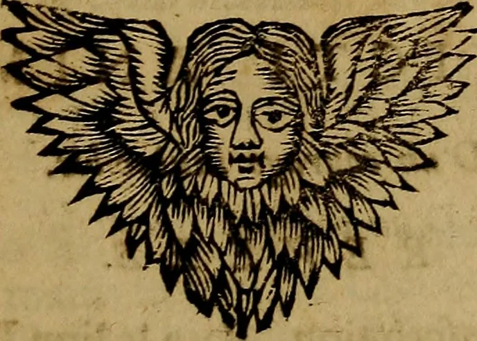 An illustration from Histoire metallique de la republique de Hollande., 1688, leaf 168