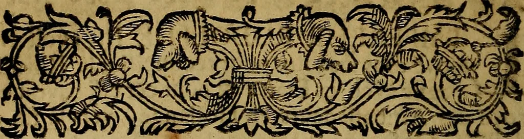 An illustration from Histoire metallique de la republique de Hollande., 1688, leaf 173