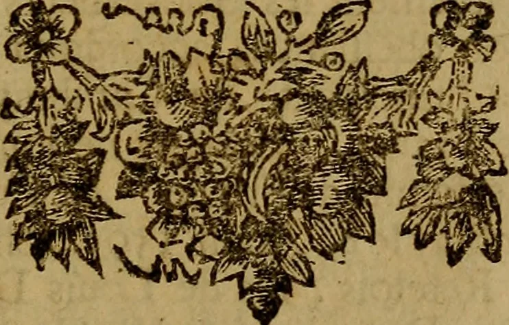 An illustration from Histoire metallique de la republique de Hollande., 1688, leaf 196