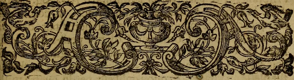 An illustration from Histoire metallique de la republique de Hollande., 1688, leaf 226