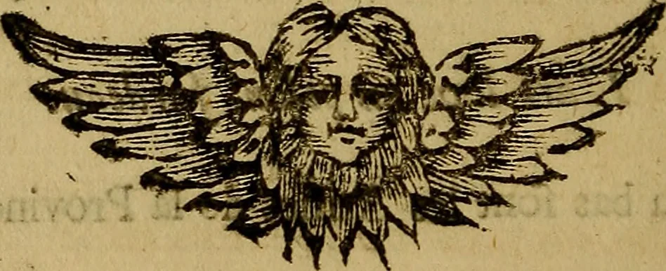 An illustration from Histoire metallique de la republique de Hollande., 1688, leaf 249