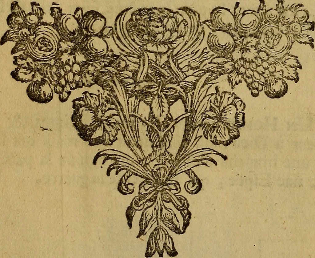 An illustration from Histoire metallique de la republique de Hollande., 1688, leaf 273