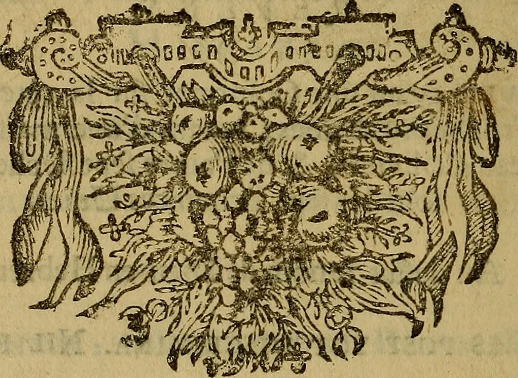 An illustration from Histoire metallique de la republique de Hollande., 1688, leaf 281