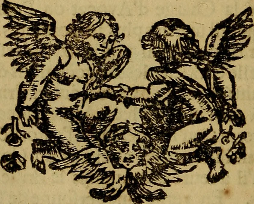 An illustration from Histoire metallique de la republique de Hollande., 1688, leaf 303
