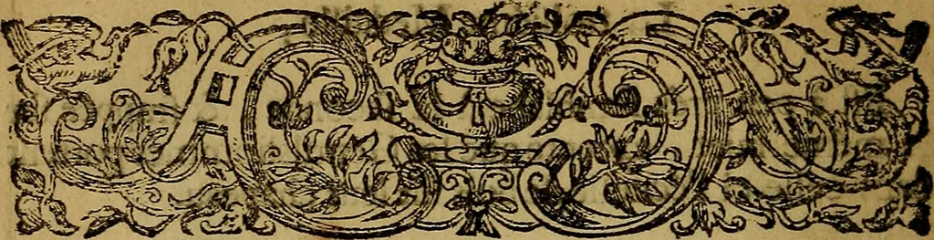 An illustration from Histoire metallique de la republique de Hollande., 1688, leaf 41