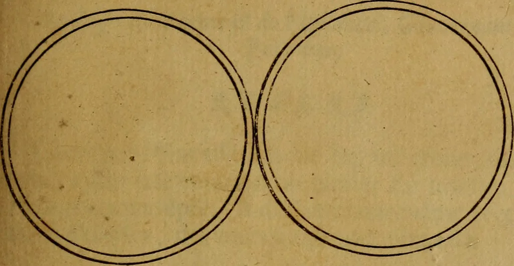 An illustration from Histoire metallique de la republique de Hollande., 1688, leaf 44