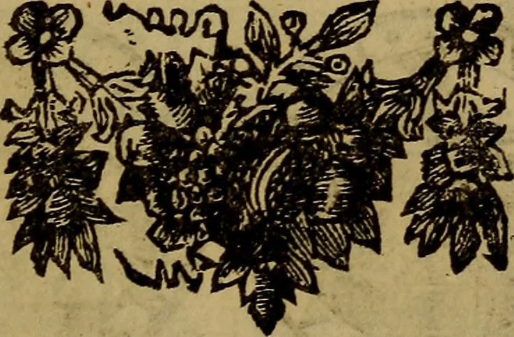 An illustration from Histoire metallique de la republique de Hollande., 1688, leaf 64