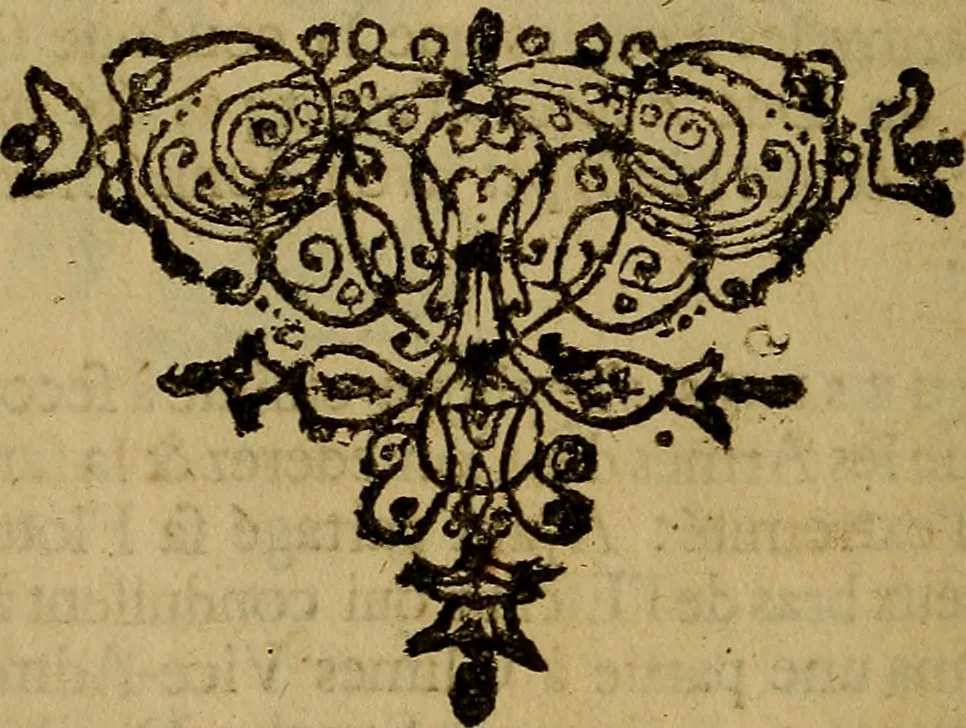 An illustration from Histoire metallique de la republique de Hollande., 1688, leaf 77