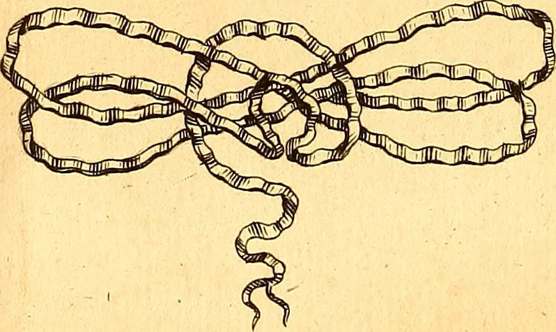 An illustration from Histoire metallique de la republique de Hollande., 1688, leaf 13