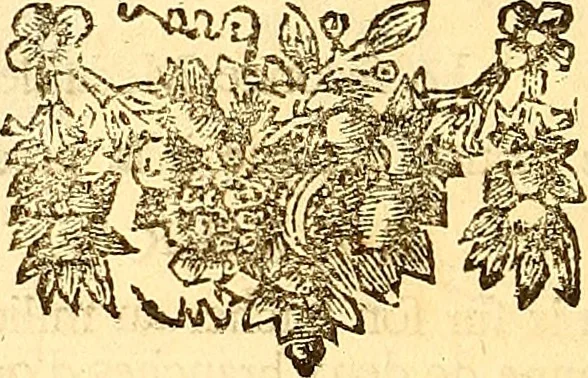 An illustration from Histoire metallique de la republique de Hollande., 1688, leaf 169