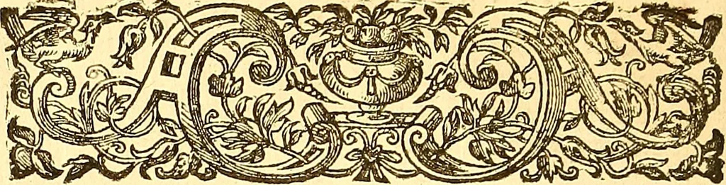 An illustration from Histoire metallique de la republique de Hollande., 1688, leaf 221