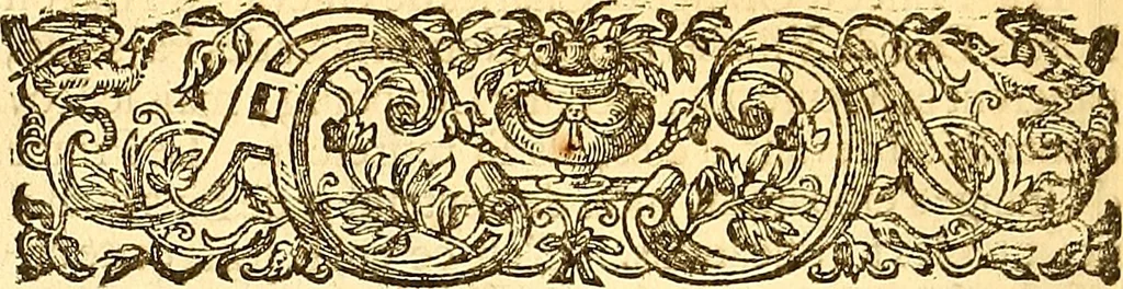 An illustration from Histoire metallique de la republique de Hollande., 1688, leaf 271