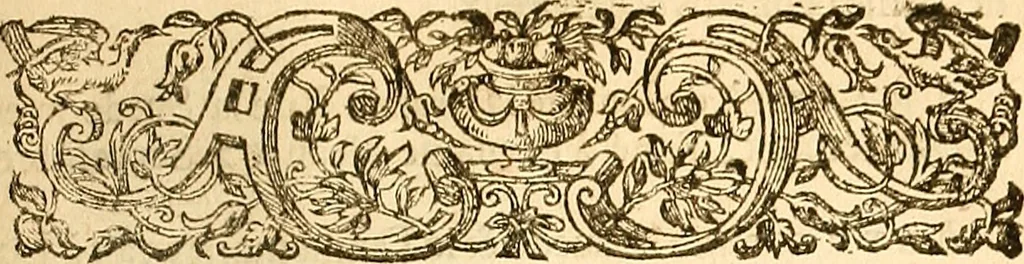 An illustration from Histoire metallique de la republique de Hollande., 1688, leaf 296