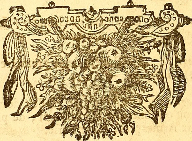 An illustration from Histoire metallique de la republique de Hollande., 1688, leaf 313