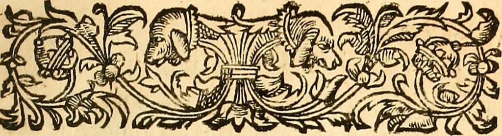 An illustration from Histoire metallique de la republique de Hollande., 1688, leaf 322
