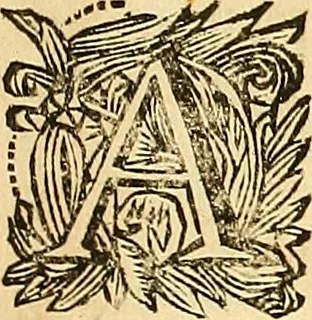 An illustration from Histoire metallique de la republique de Hollande., 1688, leaf 322
