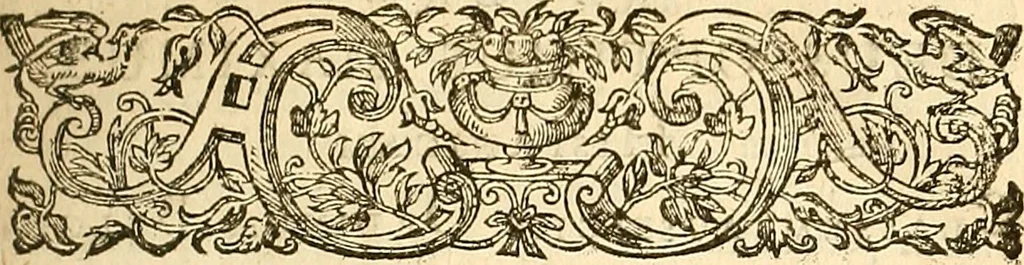 An illustration from Histoire metallique de la republique de Hollande., 1688, leaf 38