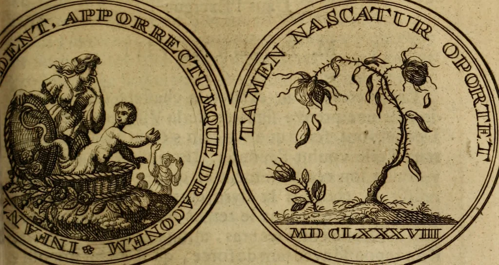 An illustration from Histoire metallique de la republique de Hollande., 1688, leaf 360