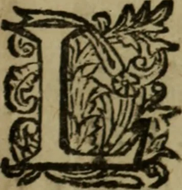 An illustration from Histoire metallique de la republique de Hollande., 1688, leaf 414
