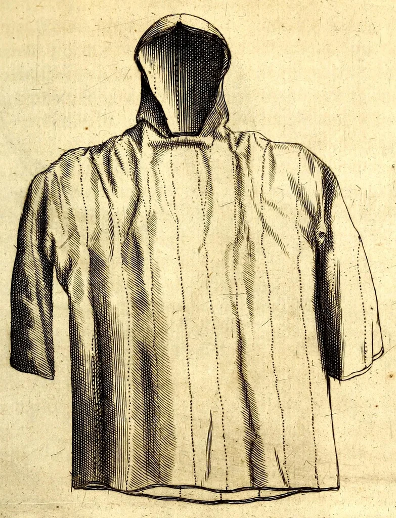 An illustration from Histoire naturelle et morale des iles Antilles de l'Amerique. Enrichie d'un grand nombre de belles figures en taille douce, des places & des raretez les plus considerables, qui y sont décrites. Avec un vocabulaire caraïbe, 1665, leaf 257