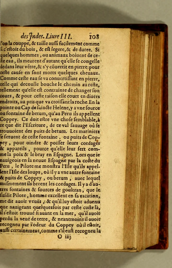 An illustration from Histoire naturelle et morale des Indes, tant Orientales, qu'Occidentales. : où il est traicté des choses remarquables du ciel, des elemens ... qui sont propres de ce pays, : ensemble des murs, ceremonies ... des mesmes Indiens., 1617, leaf 361