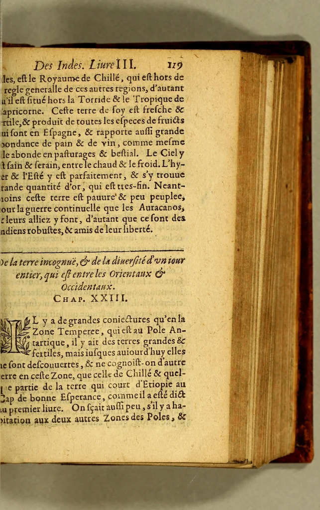 An illustration from Histoire naturelle et morale des Indes, tant Orientales, qu'Occidentales. : où il est traicté des choses remarquables du ciel, des elemens ... qui sont propres de ce pays, : ensemble des murs, ceremonies ... des mesmes Indiens., 1617, leaf 401