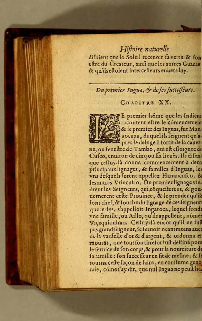 An illustration from Histoire naturelle et morale des Indes, tant Orientales, qu'Occidentales. : où il est traicté des choses remarquables du ciel, des elemens ... qui sont propres de ce pays, : ensemble des murs, ceremonies ... des mesmes Indiens., 1617, leaf 862